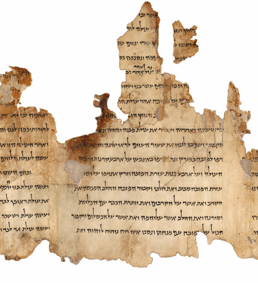 Read more about the article From Scrolls to Screens: The Journey of Sacred Manuscripts through History